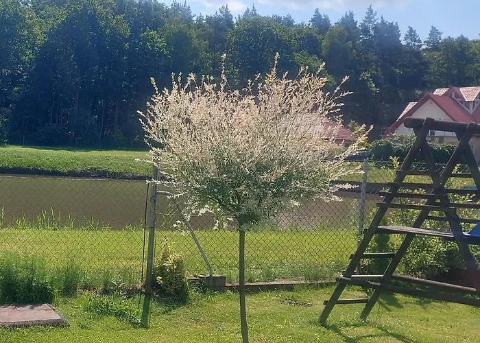 Apartament Pod Lasem